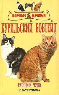 Людмила Антонова - Уход за домашними кошками