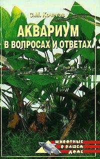 Станислав Золотцев - Камышовый кот Иван Иванович