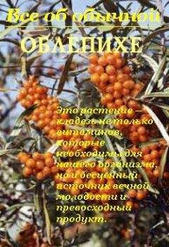 Иван Дубровин - Все об обычной капусте