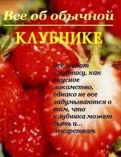 Иван Дубровин - Все об обычной смородине