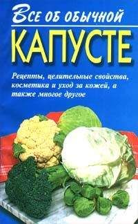 Поль Брэгг - Соль здоровья – в кислой капусте без соли!