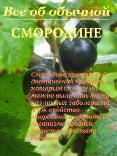 Юрий Константинов - Универсальное лекарство смородина. От гипертонии, деменции, диабета, подагры, простатита, онкологии, ревматизма, сердечных заболеваний…