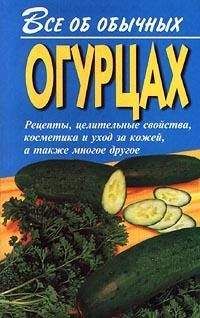 Борис Павличенко - Зелёный чай – руководство пользователя