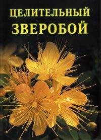 Кирилл Борисов - Массаж при гастрите