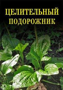 Юрий Константинов - Одуванчик, подорожник. Природные лекарства