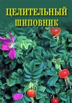 Иван Дубровин - Все об обычном помидоре