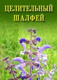 Анар Мамедов - Депрессия. Как вырваться из черной дыры