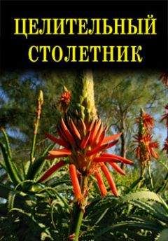 Владимир Ларин - Тайны русских знахарей. Целебные составы, обряды и ритуалы