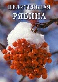 Иван Дубровин - Все об обычной смородине