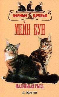 Линиза Жалпанова - Персидские кошки