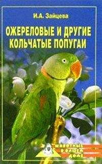 Ирина Зайцева - Ожереловые и другие кольчатые попугаи