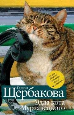 Михаил Барщевский - Князи в грязи