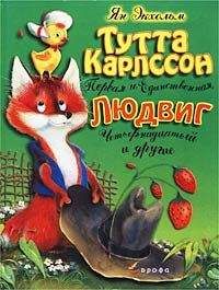 Игорь Фарбаржевич - Сказки маленького лисёнка