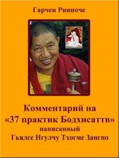 Тензин Гьяцо - Комментарий на «37 практик Бодхисаттв»