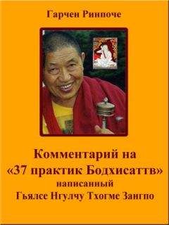 Намкай Ринпоче - 7-ой лочжонг. Переживание блаженства, ясности и пустоты