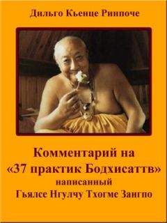 Тензин Гьяцо - Далай-лама о Дзогчене. Учения Пути великого совершенства, переданные на Западе Его Святейшеством Далай-ламой