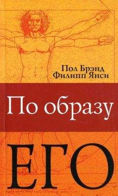 Пол Брэнд - Ты дивно устроил внутренности мои