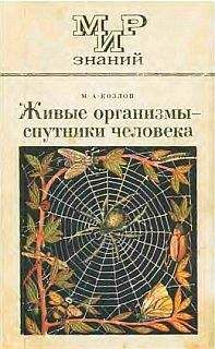 Н. Малов - Радио на службе у человека