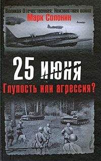 Н. Черушев - Удар по своим: Красная Армия: 1938-1941 гг.