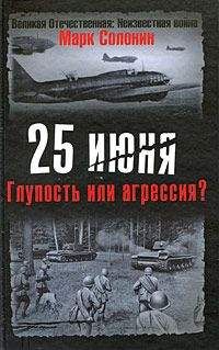 Виктор Суворов - Союз звезды со свастикой: Встречная агрессия