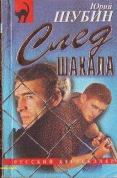 Лев Корнешов - Пуля для бизнес-леди