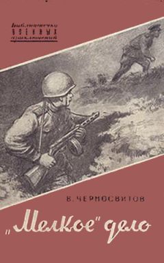 Владимир Черносвитов - «Мелкое» дело