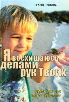 Елена Обатнина - Алексей Ремизов: Личность и творческие практики писателя