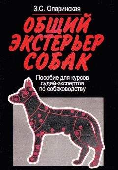 Татьяна Климовская - Русско-английский кинологический словарь по экстерьеру