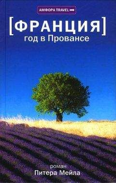 Питер Гитерс - Кот и хозяин. История любви. Продолжение