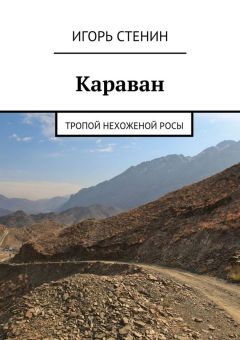 Игорь Стенин - Караван