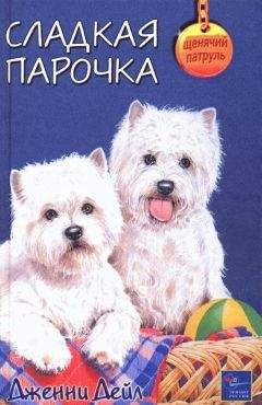  Сфинкс - Паутина