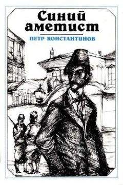 Николай Брешко-Брешковский - Дикая дивизия