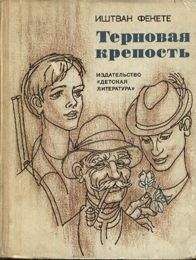 Валерий Шульжик - Фунтик и трое с  большой дороги