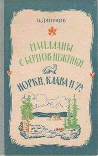 Владимир Данилов - Норки, Клава и 7