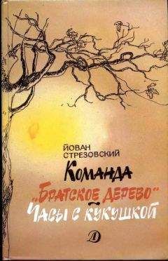 Ганна Ожоговская - Не голова, а компьютер