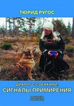Александр Свияш - Как получать информацию из тонкого мира