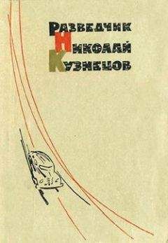 Николай Пустынцев - Сквозь свинцовую вьюгу