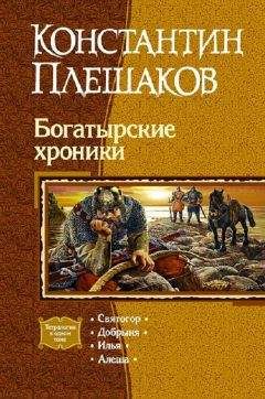 Константин Плешаков - Богатырские хроники.