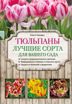 Федор Кольцов - Колумнея (Columnea) – «золотая рыбка»