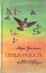 Эдуард Бондарев - Птицеводство для начинающих