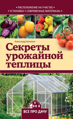 Александр Калинин - Дачный участок со всеми удобствами