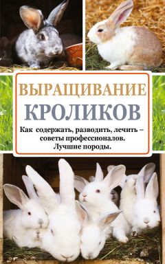 Андрей Лапин - Выращивание кроликов. Как содержать, разводить, лечить – советы профессионалов. Лучшие породы