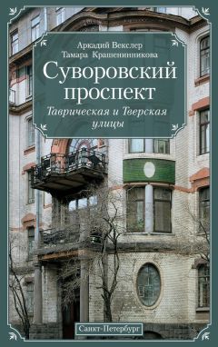 Антон Бекетов - Двое на обочине. Новосибирск – Санкт-Петербург