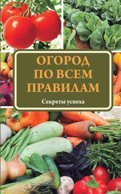 Надежда Севостьянова - Урожайный огород: все секреты профессионалов