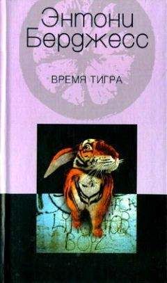 Энтони Бёрджес - Время тигра