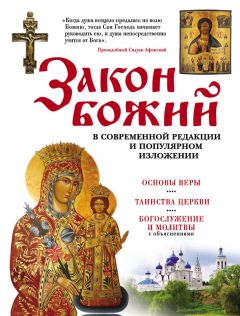 Николай Афанасьев - Церковные соборы и их происхождение