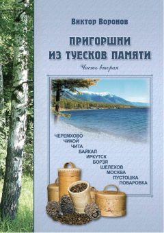 Лев Токарев - Главный инженер. Жизнь и работа в СССР и в России. (Техника и политика. Радости и печали)