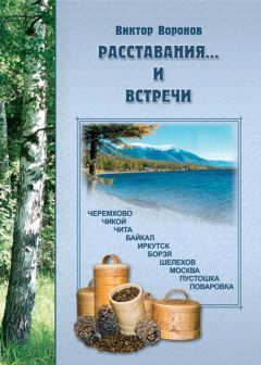 Виктор Воронов - Мысли в охапку. Часть первая. Шестнадцать туесков