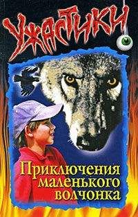 Всеволод Иванов - Агасфер