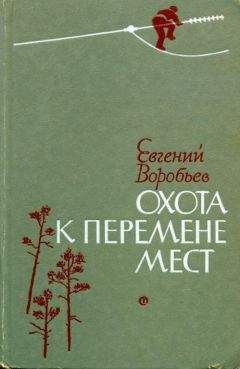 Евгений Воробьев - Незабудка